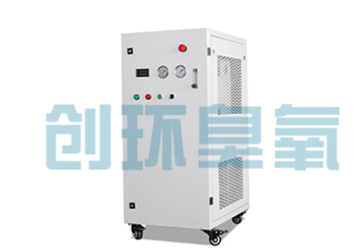 银川石斑鱼养殖水质调控完整指南:臭氧发生器配置与操作步骤