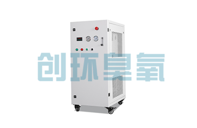 银川比传统换水更高效?臭氧发生器在石斑鱼养殖中的水质净化原理解析